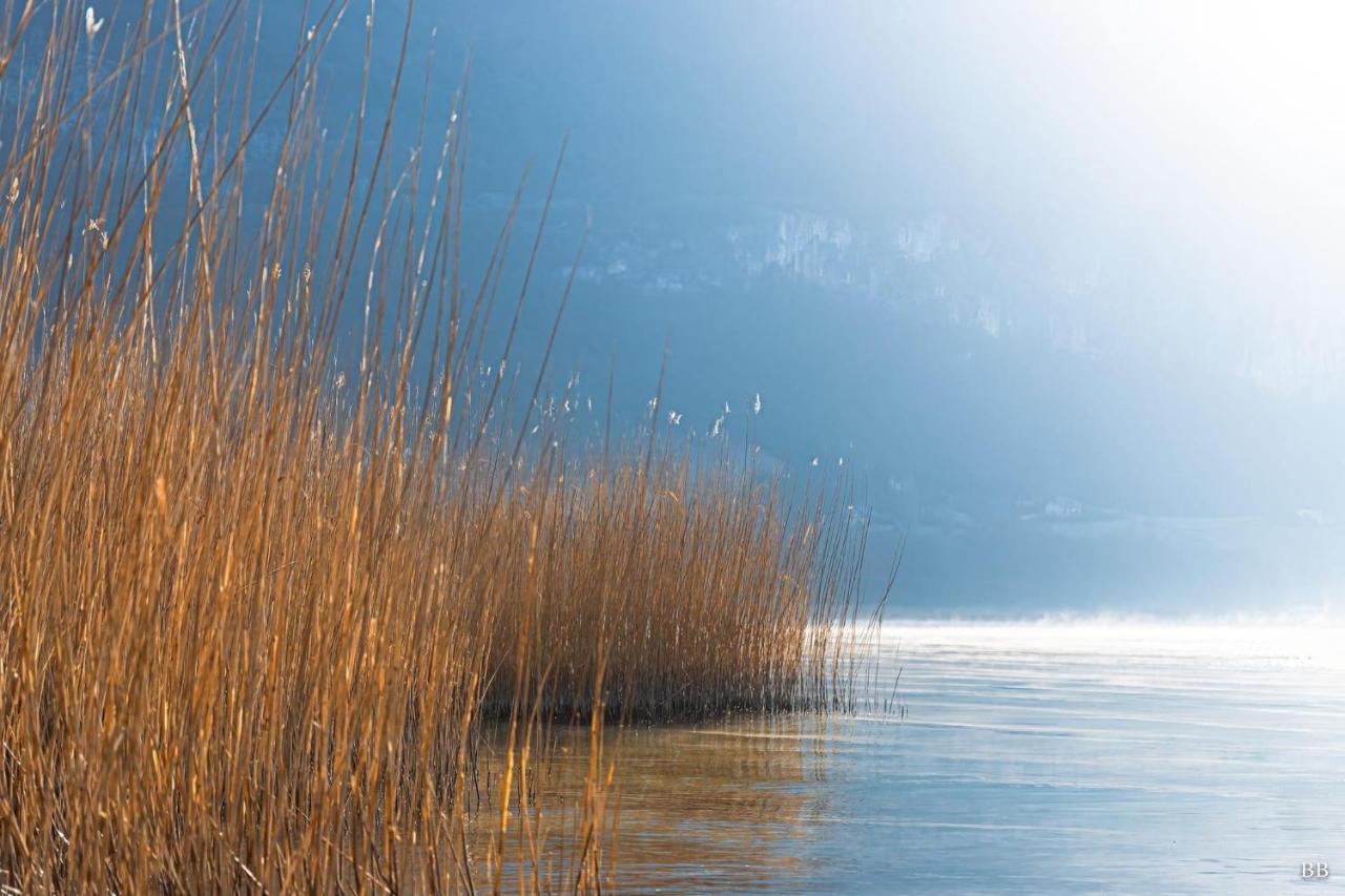 Du Vent Dans Les Arbres -120M2 Belle Vue Sur Le Lac Chindrieux Exterior foto
